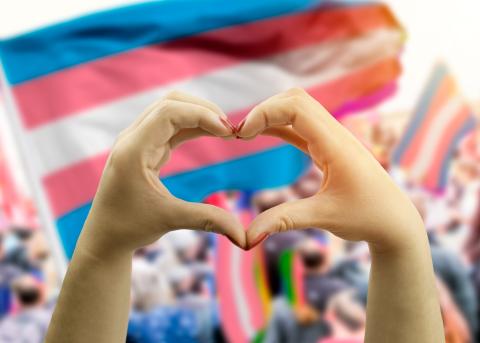Trans Mental Health Trans Mental Health